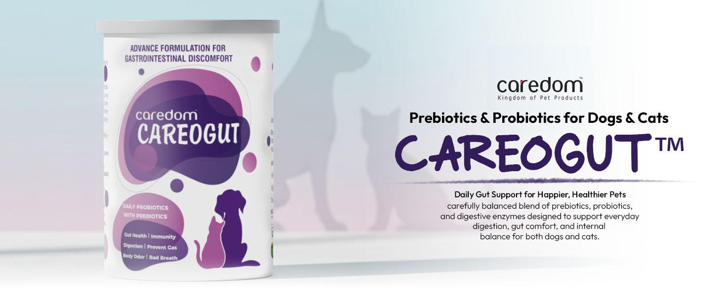 CAREOGUT Prebiotics & Probiotics for Dogs and Cats | Digestive Enzyme Blend | Probiotics Supplement for Gut Health | Cat & Dog Supplement for Daily Gut Support | Powder | 100 grm
