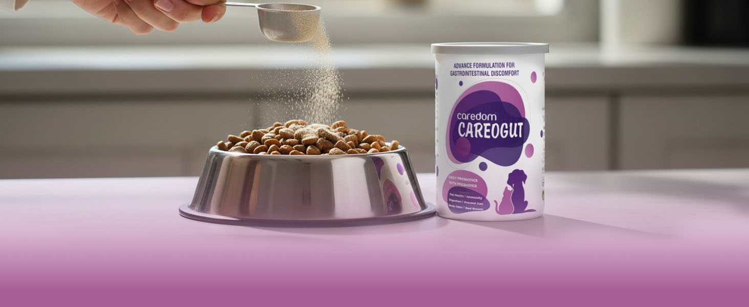 CAREOGUT Prebiotics & Probiotics for Dogs and Cats | Digestive Enzyme Blend | Probiotics Supplement for Gut Health | Cat & Dog Supplement for Daily Gut Support | Powder | 100 grm