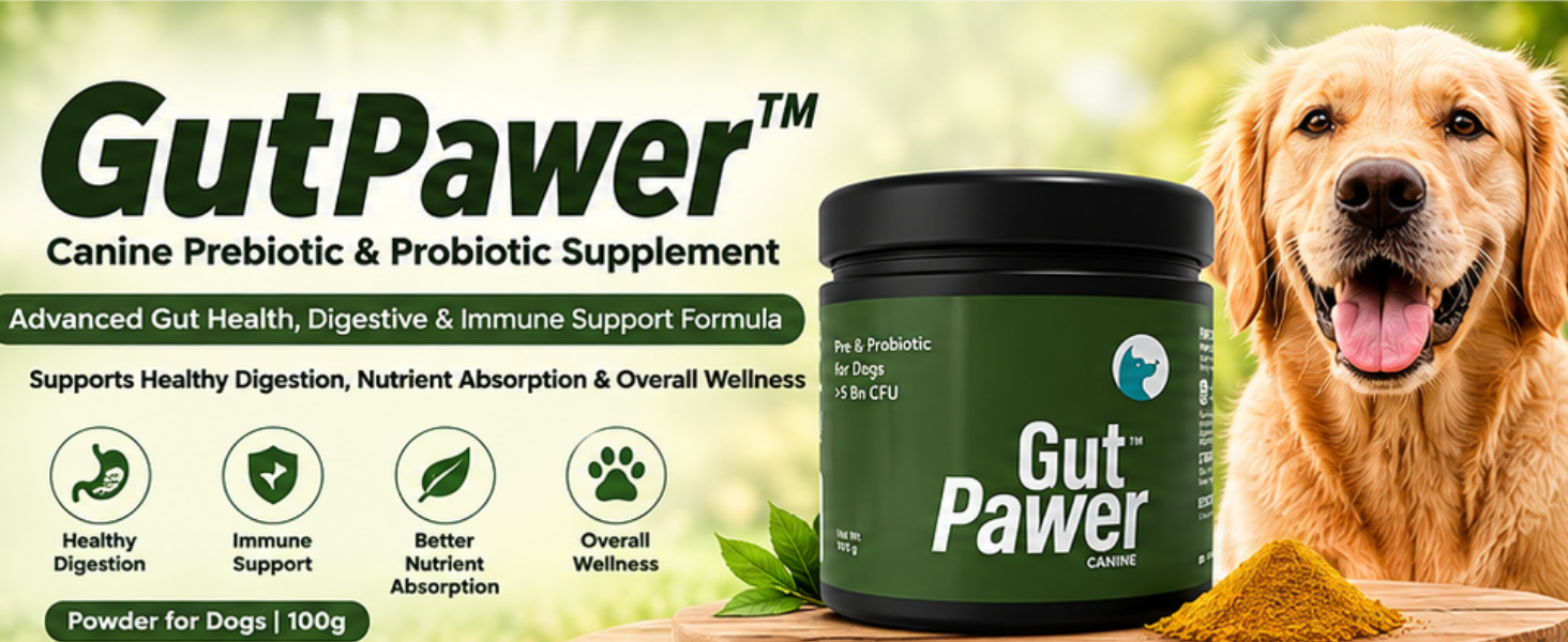 GutPawer™ Canine Prebiotic & Probiotic Supplement for Dogs | Advanced Gut Health, Digestive & Immune Support Formula | Supports Healthy Digestion, Nutrient Absorption & Wellness | 100g