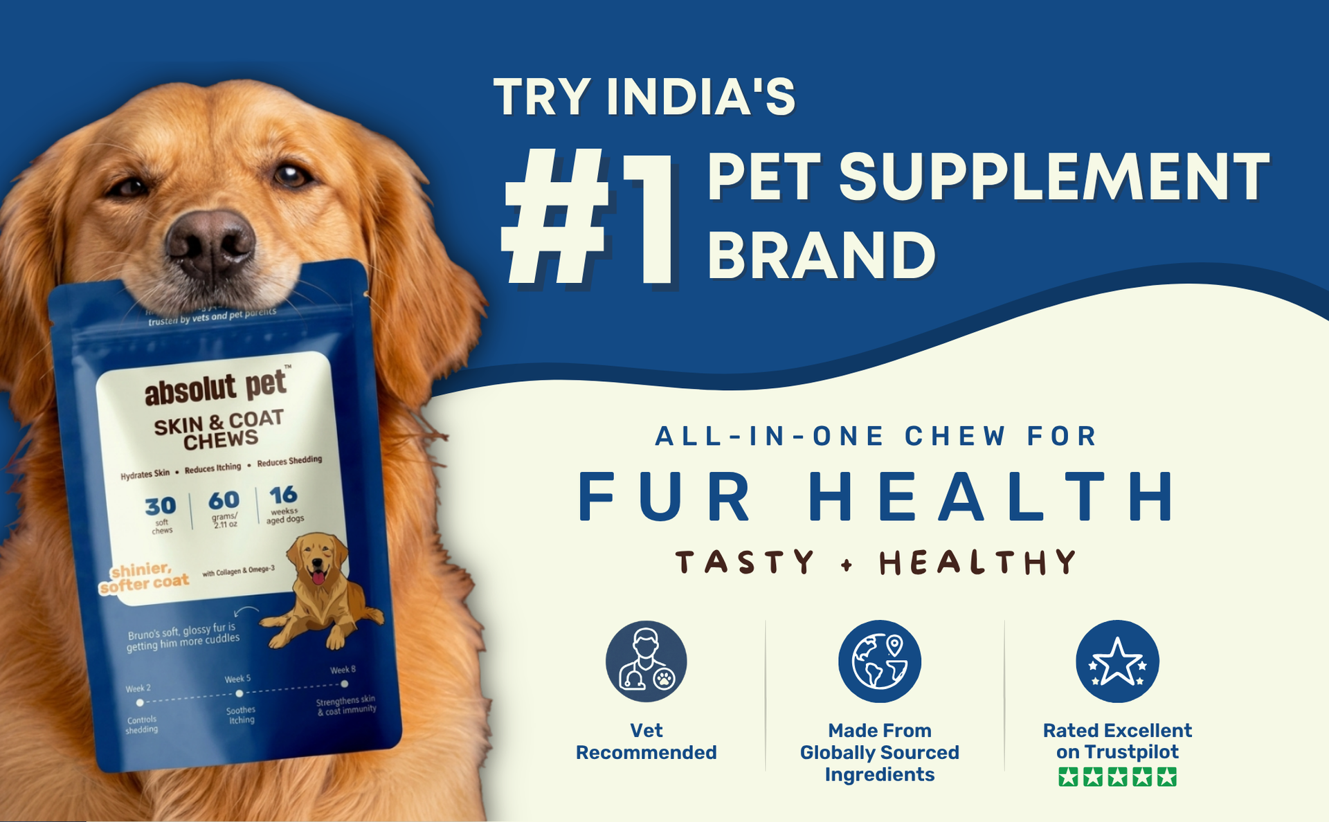 Absolut Pet Probiotic + Skin & Coat Dog Chews, Gut Health & Shine | Combo