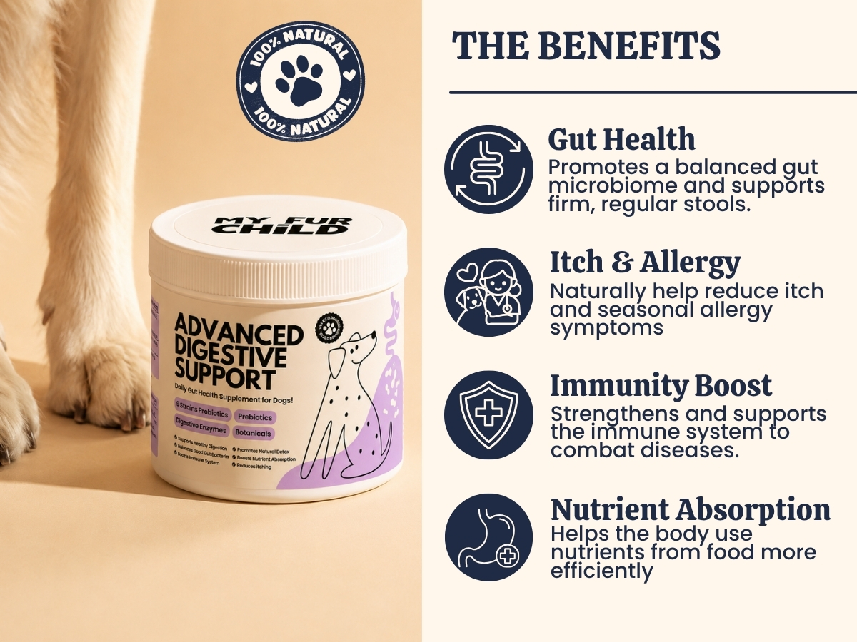 Advanced Digestive Support for Dogs | 3.2 Billion CFU 9-Strain Probiotics, Digestive Enzymes, Pumpkin & Prebiotics | Supports Gut Health, Digestion & Stool Quality | Lasts Up to 60 Days