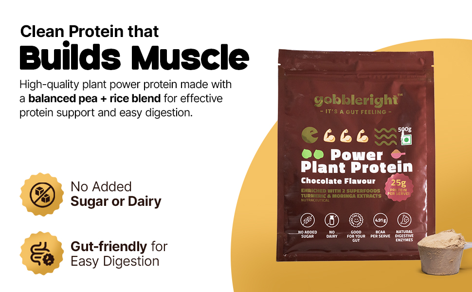 GOBBLERIGHT Plant Protein Powder Chocolate (500g)-28.5g Protein & 4.91g BCAA Per Serve|Isolate & Concentrate Pea Rice Powder with Turmeric & Moringa Extracts|No Added Sugar|Gut Friendly