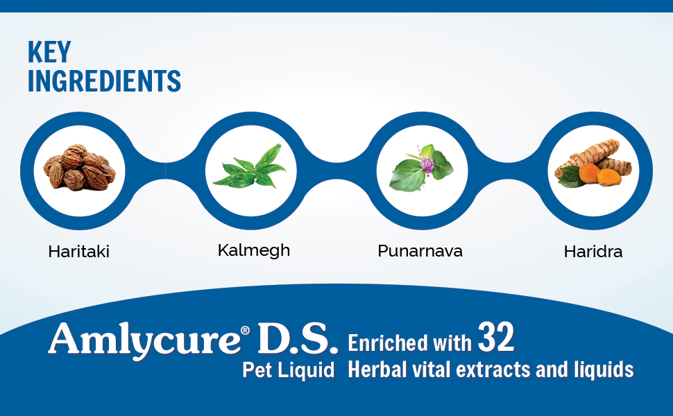 AIMIL Amlycure D.S Pet Liquid | Herbal Tonic For Dogs & Cats | | 200ml