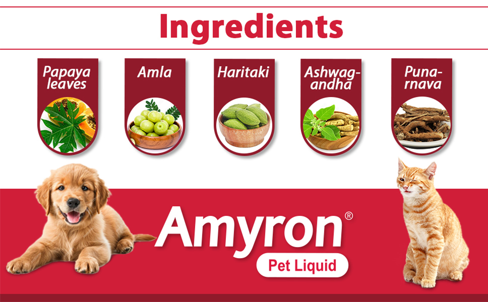 AIMIL Amyron Pet Liquid | Natural Health Restorative For Maintaining Healthy Growth & Development In Dogs & Cats | 200ml