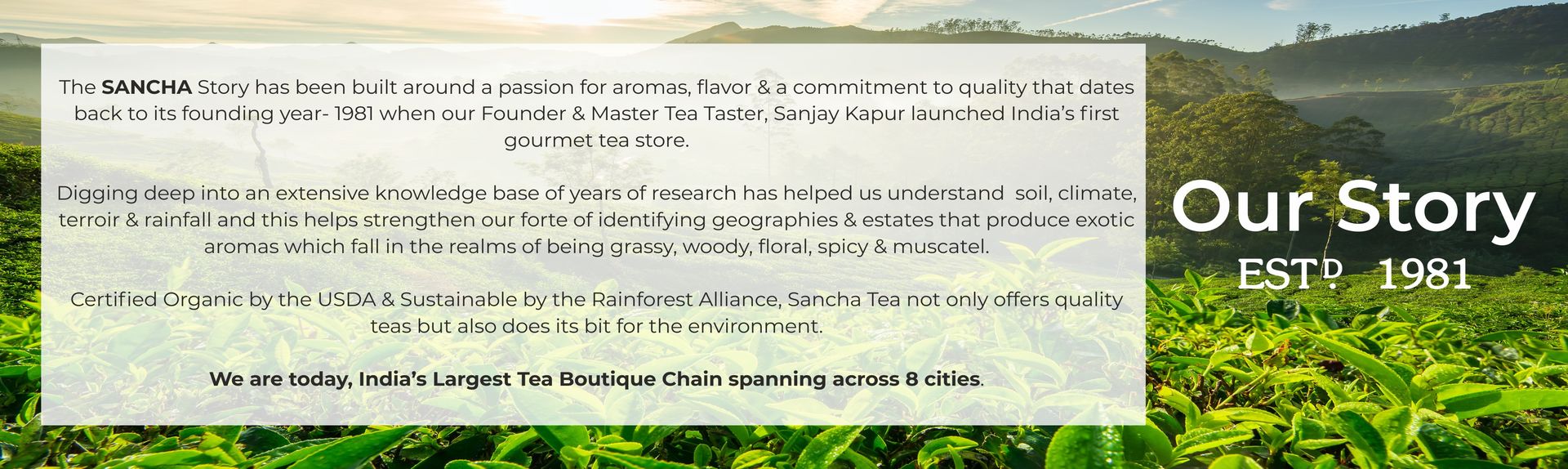 Sancha Tea Boutique, Moroccan Mint Green Tea, 100g Loose Leaves | Rainforest Alliance Certified | Refreshing & Rejuvenating Herbal Blend | Double Lid Tin Caddy