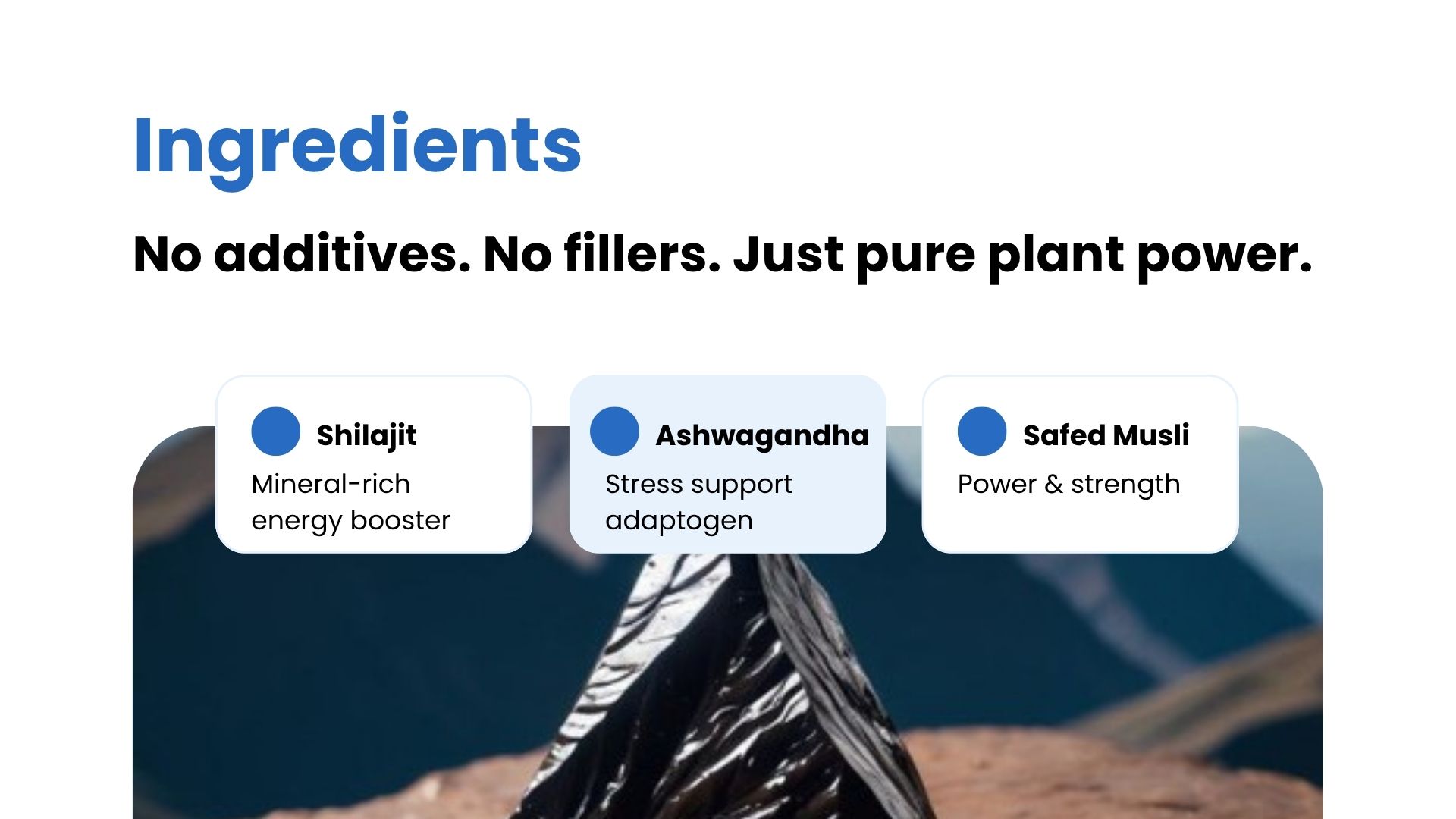 Shilajit Plus | Blend of Shilajit, Ashwagandha, Safed Musli & Gokshura | 60 Capsules | Ayurvedic Ingredients