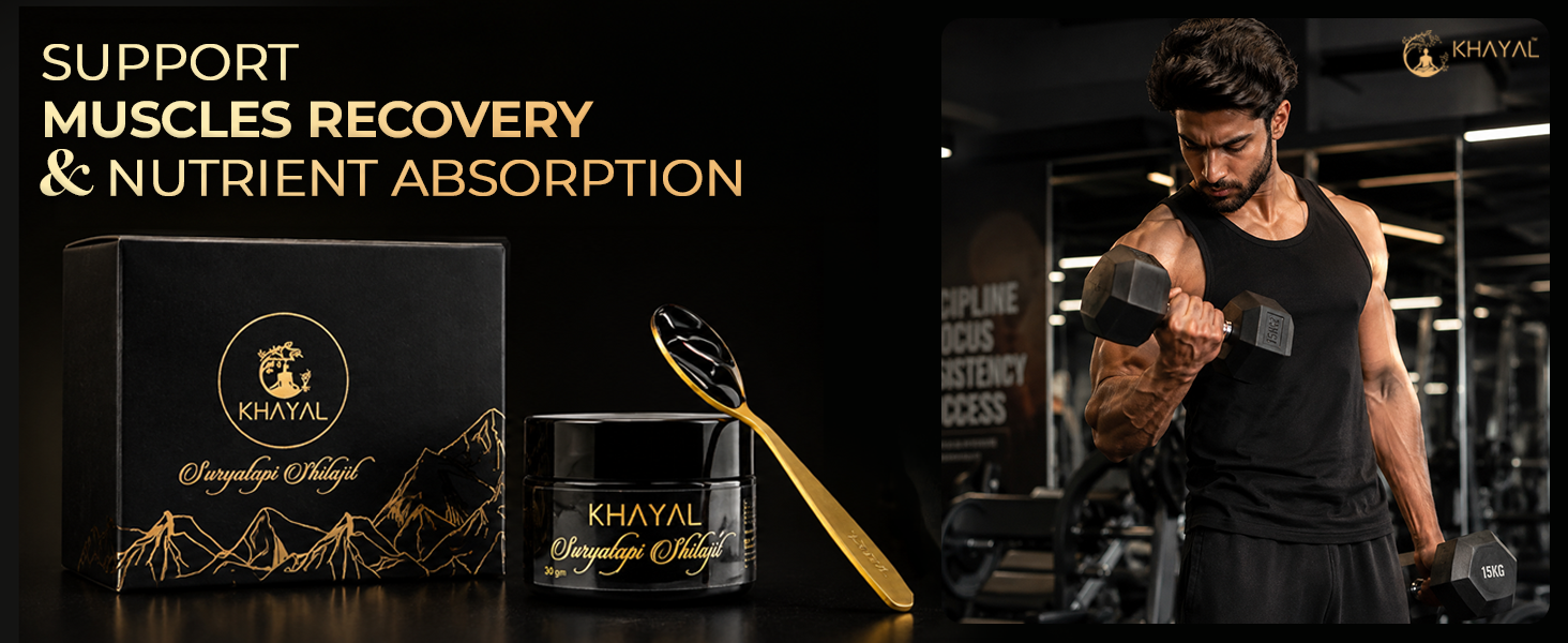 Khayal Suryatapi Pure Himalayan Shilajeet Resin | 500mg Serving | Natural Energy, Stamina & Vitality Support | For Men & Women (15 gm)