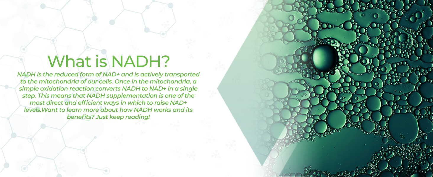 Nootropics Depot NADH + Chlorella vulgaris (Broken Cell) 400mg Capsules | Nicotinamide Adenine Dinucleotide 20mg | Chlorophyll 10mg | Energy, Alertness, Mental Clarity & Healthy Aging, 30 Count