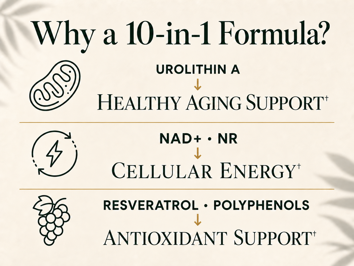 Liposomal Urolithin A Complex, 1250mg 10-in-1 with NAD+, NR, & Resveratrol