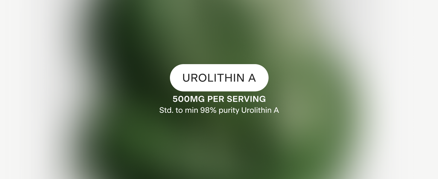 OMRE - Urolithin A 500mg, 98% Purity - Support for Healthy Aging and Cellular Renewal - Mitochondrial and Ceullular Energy Support for Longevity - 30 Servings