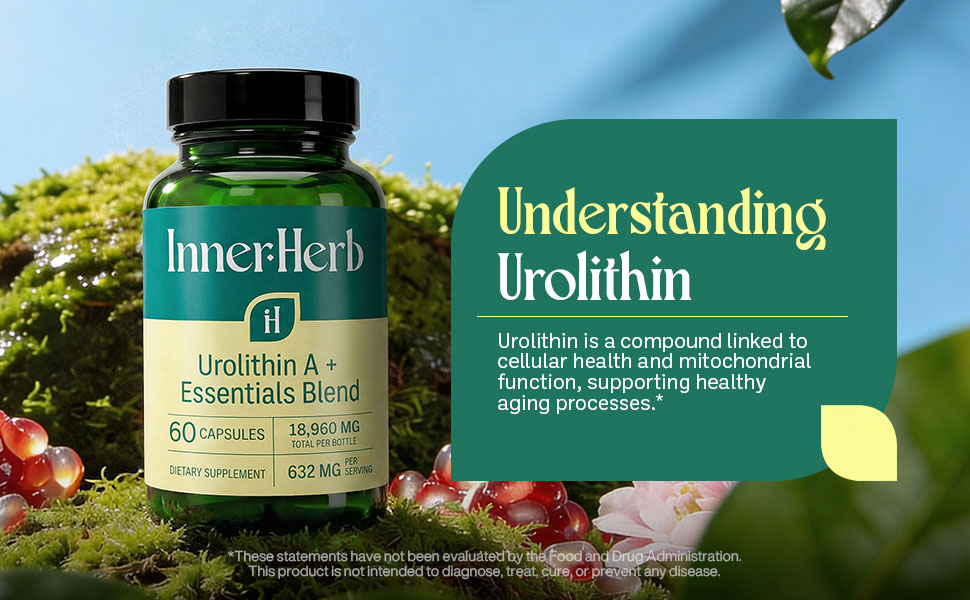 Urolithin A 632mg with NMN, NR, PQQ & Magnesium Bisglycinate, Mitochondrial & Cellular Energy Support, NAD+ Booster Supplement, 60 Vegan Capsules, Unflavored, 30-Day Supply
