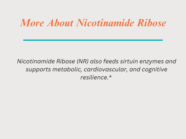Source Naturals NR, Nicotinamide Riboside, 300 mg - 60 Vegan Capsules