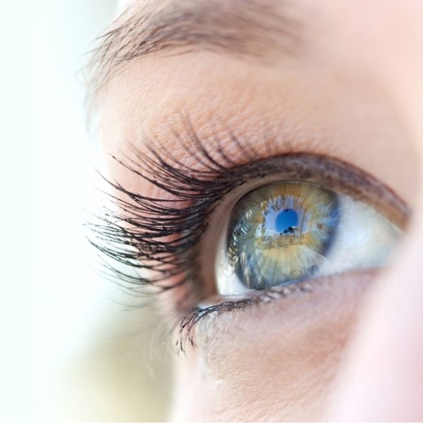 AL-Ayurvedic Life Occu Plus 30 Capsule - Eye Care