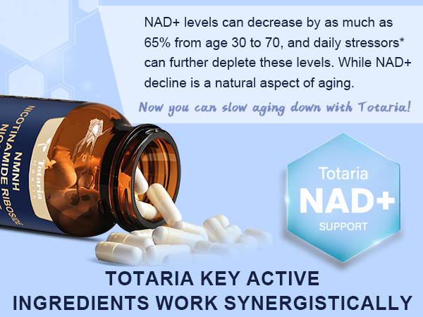 Totaria NMNH 500mg (Dihydronicotinamide Mononucleotide), Premium NMN Alternative Supplement w/Niacinamide (Vitamin B3), Quercetin, Trans-Resveratrol, for NAD+, Skin Cell, Anti-Aging & Energy, 120 Ct