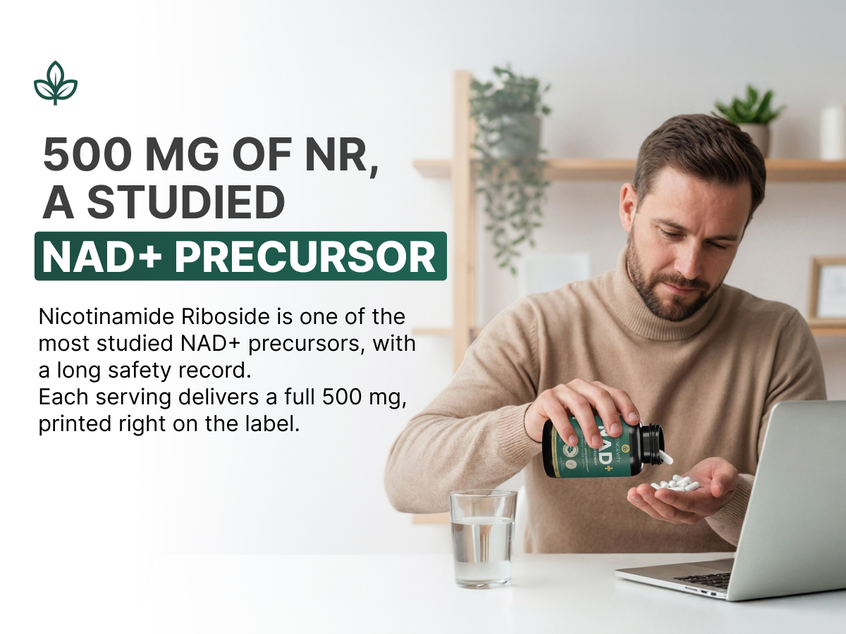 NAD+ Supplement for Women and Men, 12 in 1 NAD Plus Longevity Complex with Nicotinamide Riboside, Resveratrol, Quercetin, Fisetin and L-Theanine, Cellular Energy Support, 90 Capsules