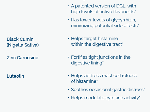 Researched Nutritionals RenewGut - GI Complex to Support Gut Lining, Healthy Histamine Levels & Digestive Health - Collagen Peptides, Zinc Carnosine, DGL & N Acetyl Glucosamine (120 Capsules)