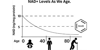 NAD Supplements for Women & Men, Fast Acting Liquid NAD Plus Resveratrol