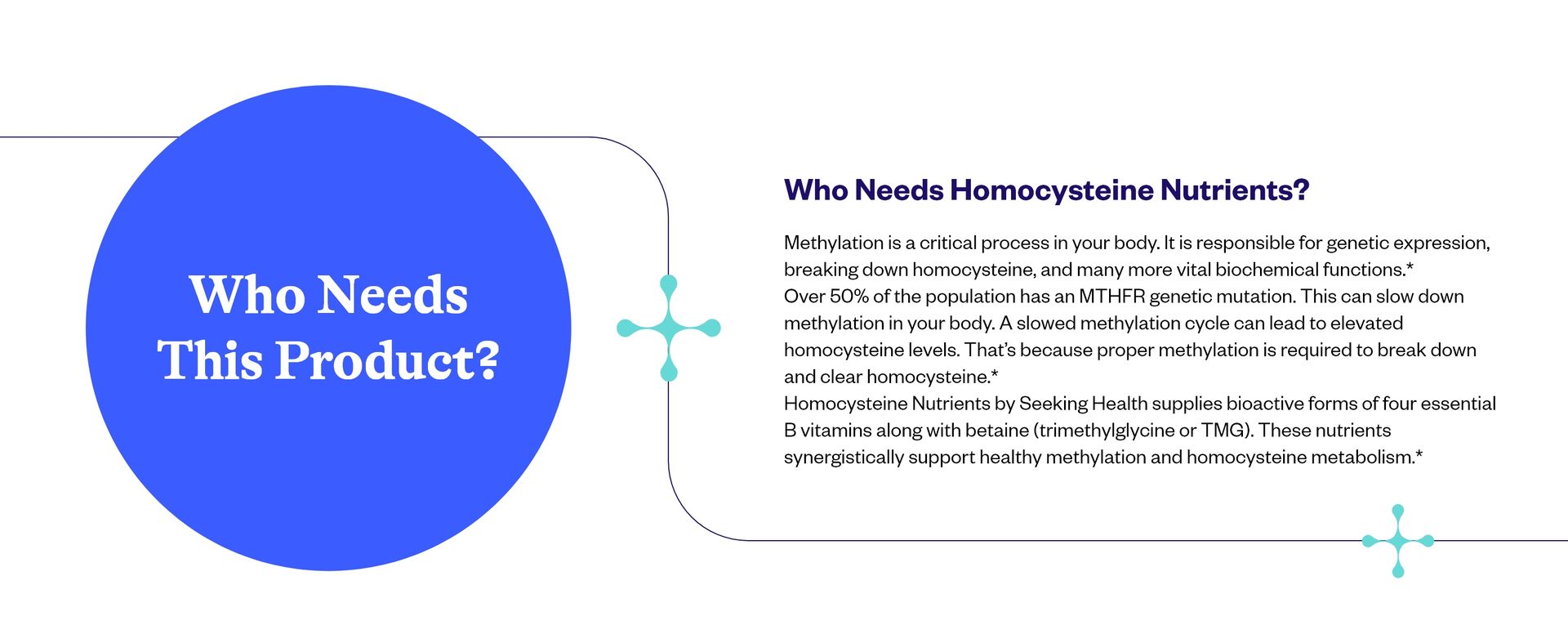 Seeking Health Homocysteine Nutrients - Supplement Formula with L-Methylfolate & Vitamin B12, B6 & B2 - Supports Healthy Cognition & Brain Function - Aids Homocysteine Metabolism - 60 Capsules