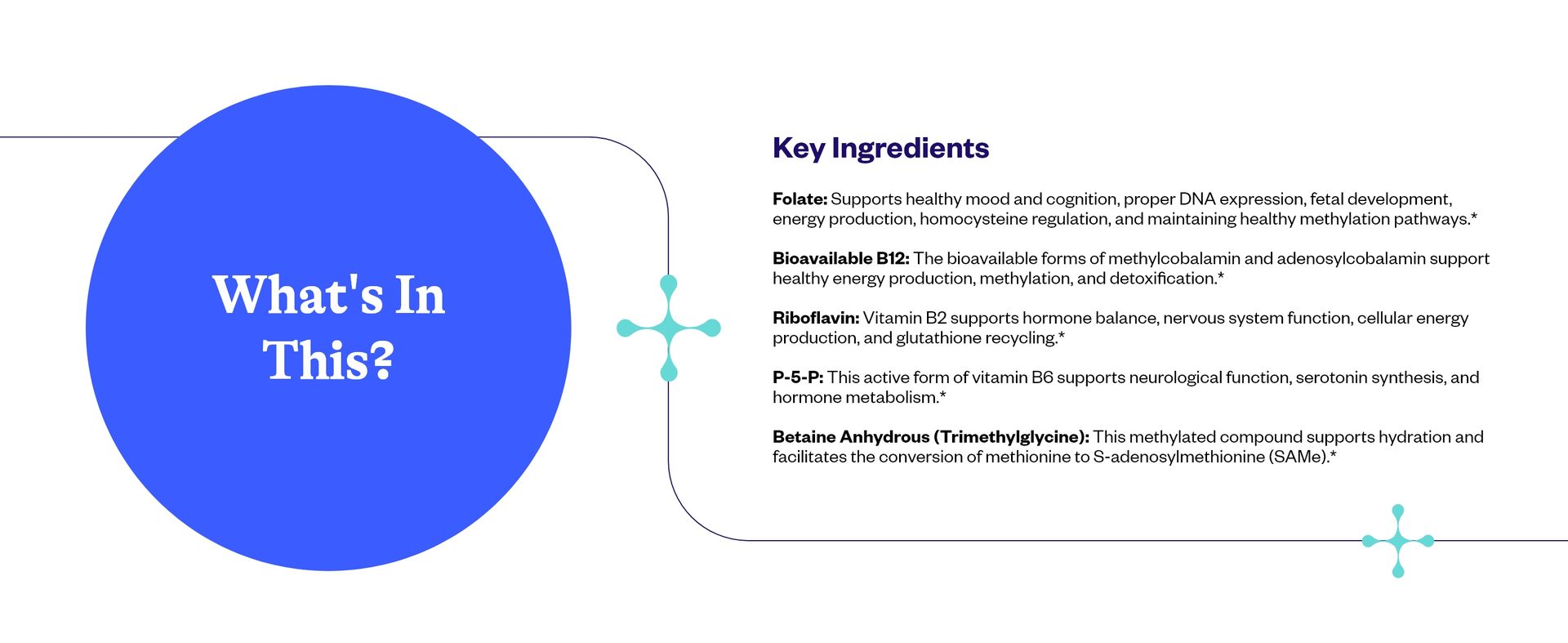 Seeking Health Homocysteine Nutrients - Supplement Formula with L-Methylfolate & Vitamin B12, B6 & B2 - Supports Healthy Cognition & Brain Function - Aids Homocysteine Metabolism - 60 Capsules