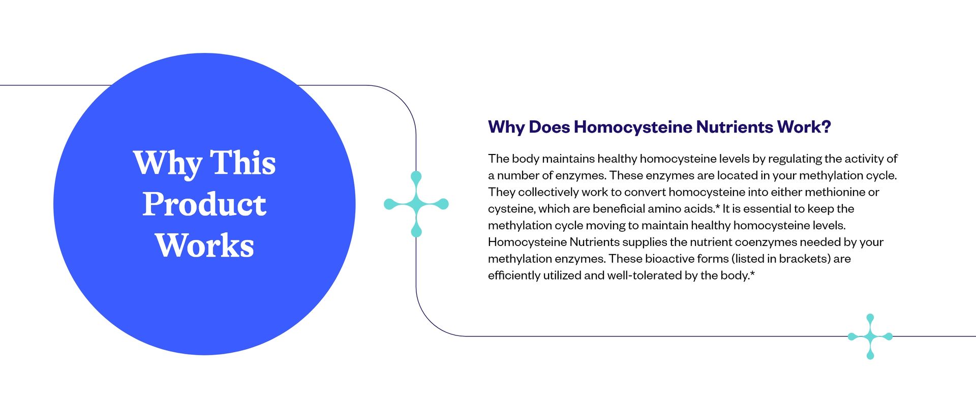 Seeking Health Homocysteine Nutrients - Supplement Formula with L-Methylfolate & Vitamin B12, B6 & B2 - Supports Healthy Cognition & Brain Function - Aids Homocysteine Metabolism - 60 Capsules