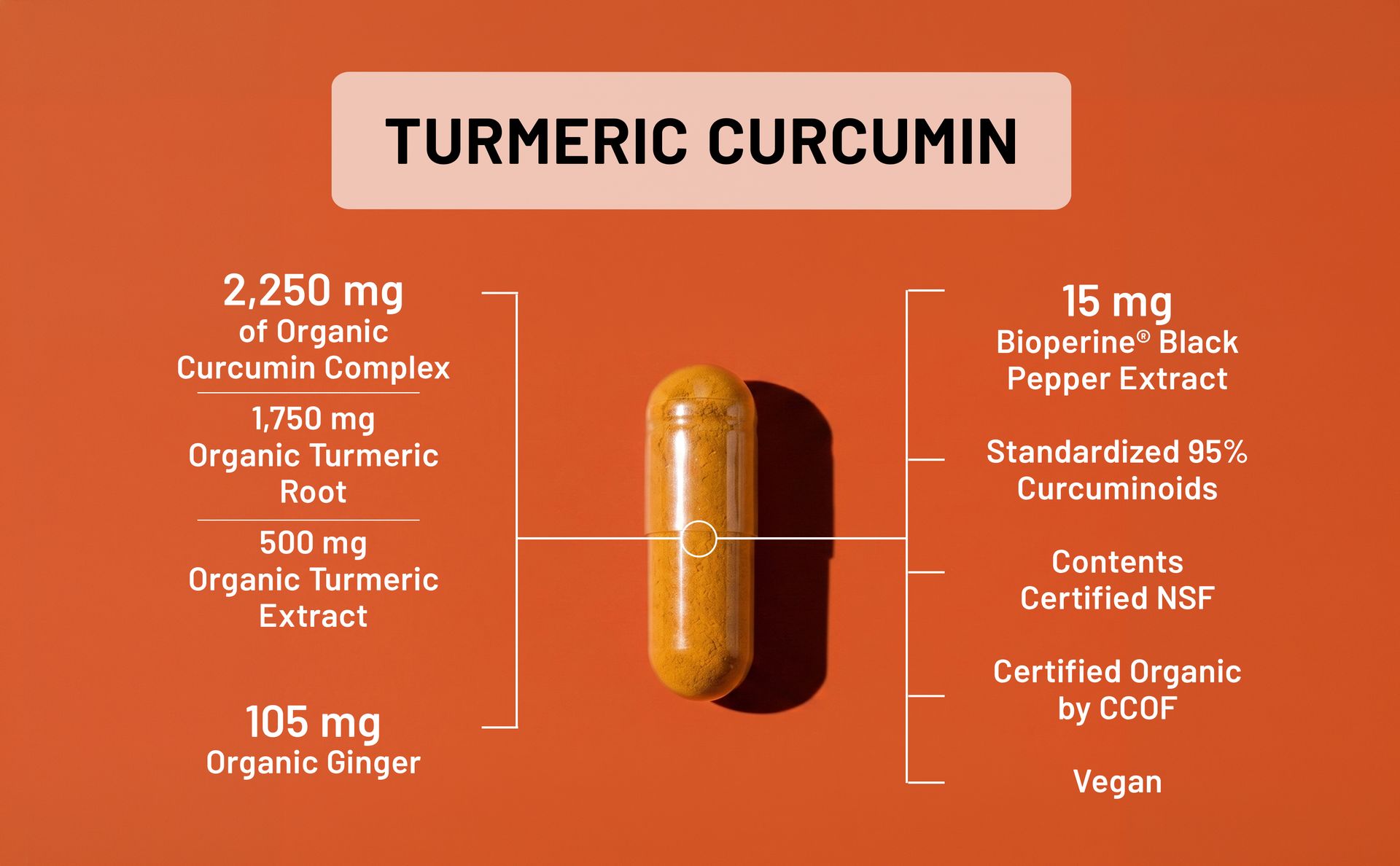 NatureWise Turmeric Curcumin 2250mg Supplement with BioPerine, 180 Capsules