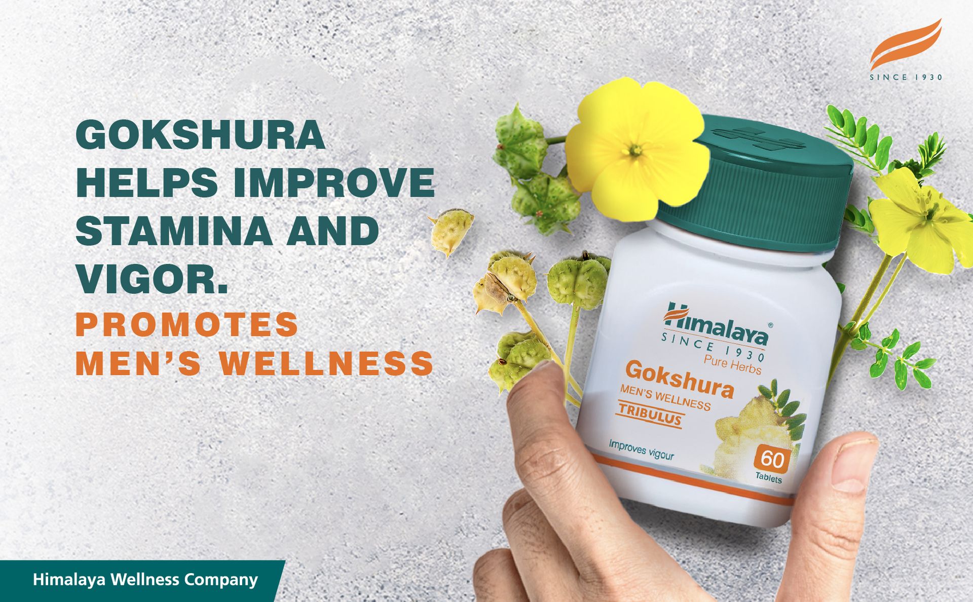 Himalaya Herbals Gokshura - 60 Capsules