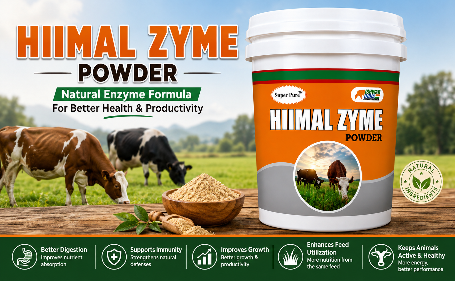 HIIMAL Zyme Powder | Digestive Enzyme & Probiotic Supplement for Cows, Buffaloes, Goats & Sheep | Improves Digestion & Feed Utilization-5 Kg Bucket