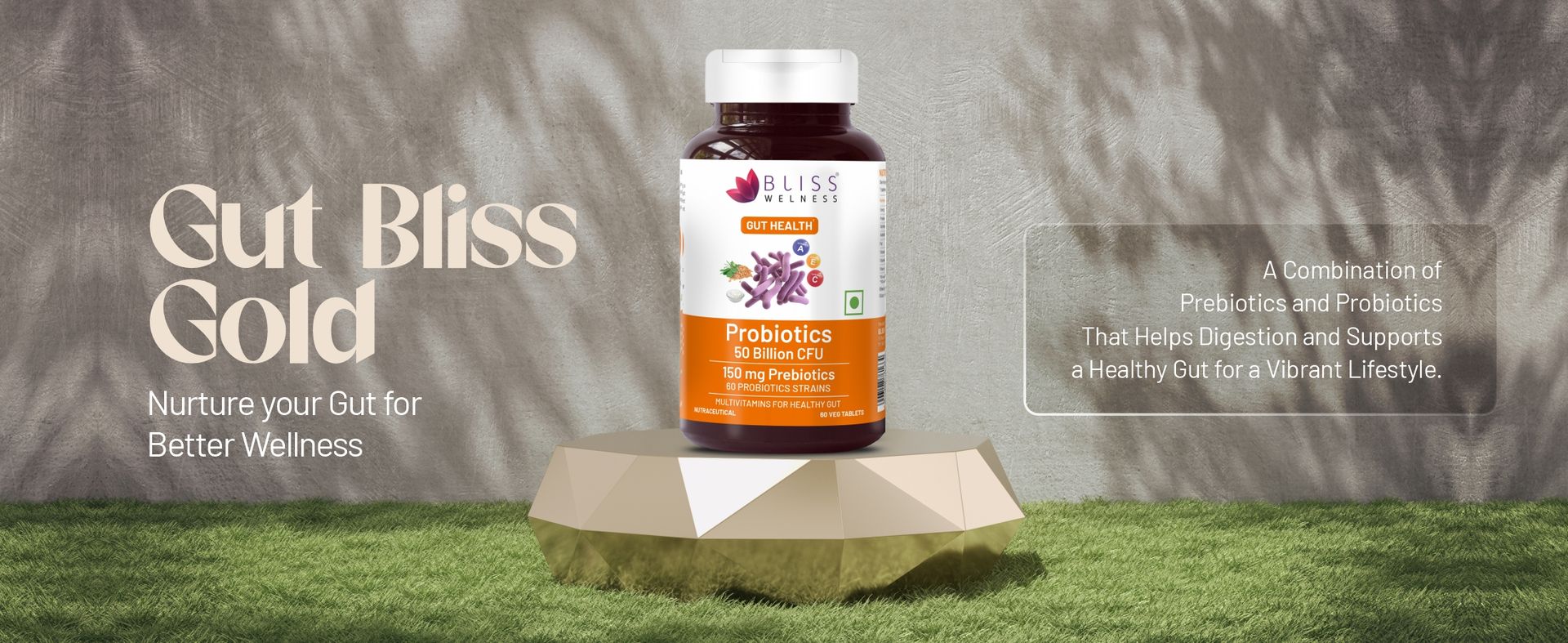 Bliss Welness Prebiotics and Probiotic Supplements 50 Billion CFU Digestive Enzymes With 150 mg Prebiotics | Improve Digestion, Immunity & Gut Health For Men and Women - 60 Tablets