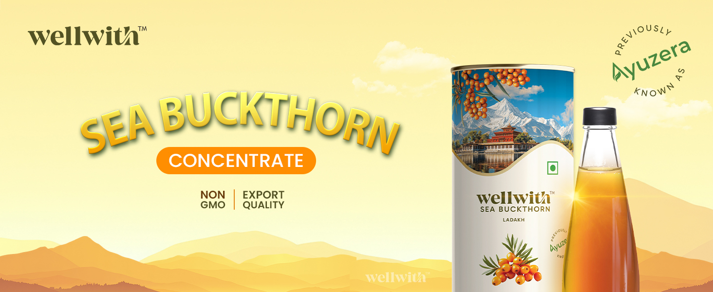 Wellwith by Ayuzera Himalayan Sea Buckthorn Berry Pulp 300ml | Plant Based Vegan Omega 3, 6, 7 & 9 | No Fish Oil | Natural & Organic | Upto 50 Glass Juice | Antioxidants & Vitamins (300ml, Pack Of 2)