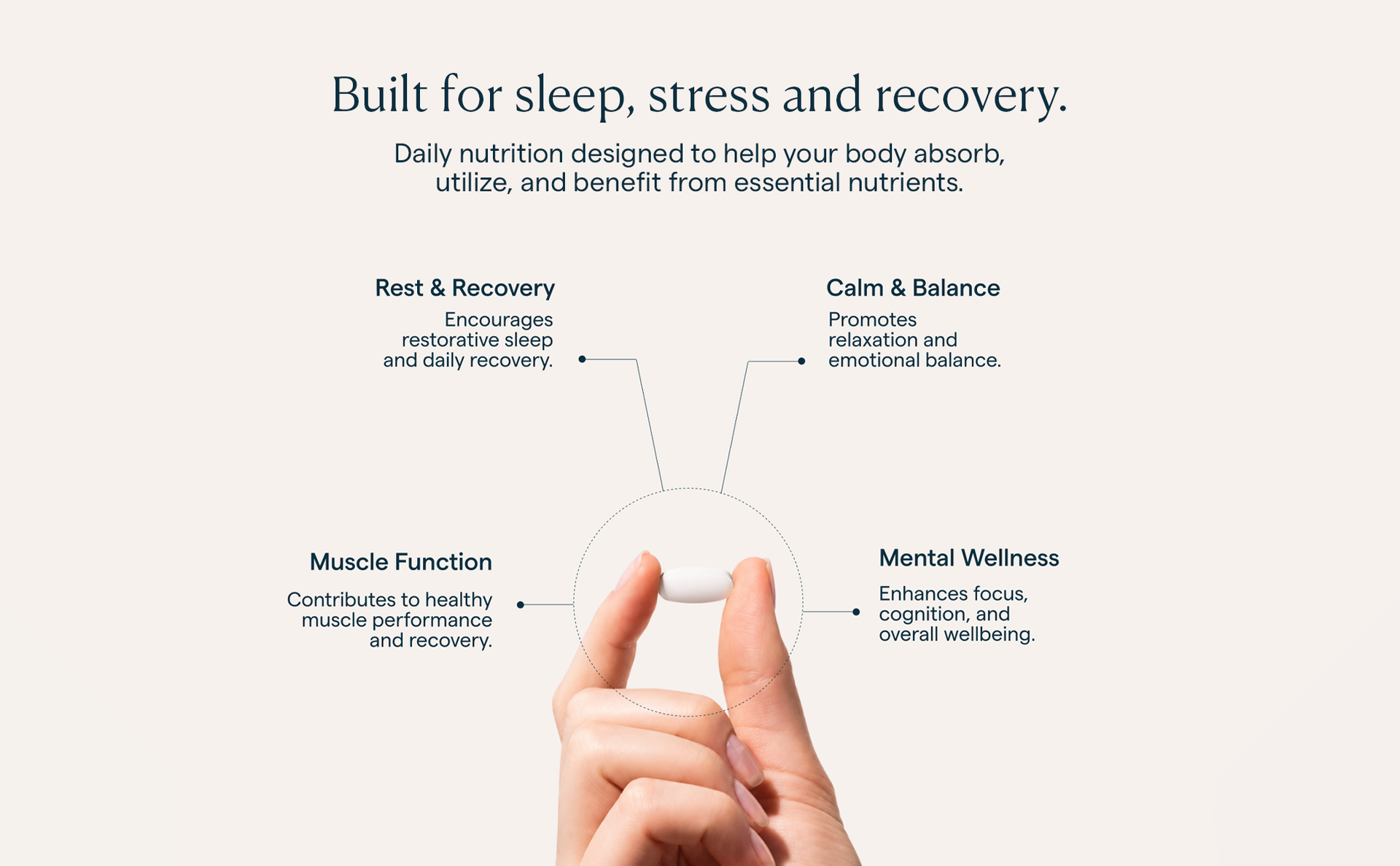The Good Bug Magnesium Bisglycinate Tablets with Probiotics | 440mg Elemental Magnesium | Highly Bioavailable Form | Supports Muscle Recovery, Deep Sleep & Gut Health | 60 Tablets
