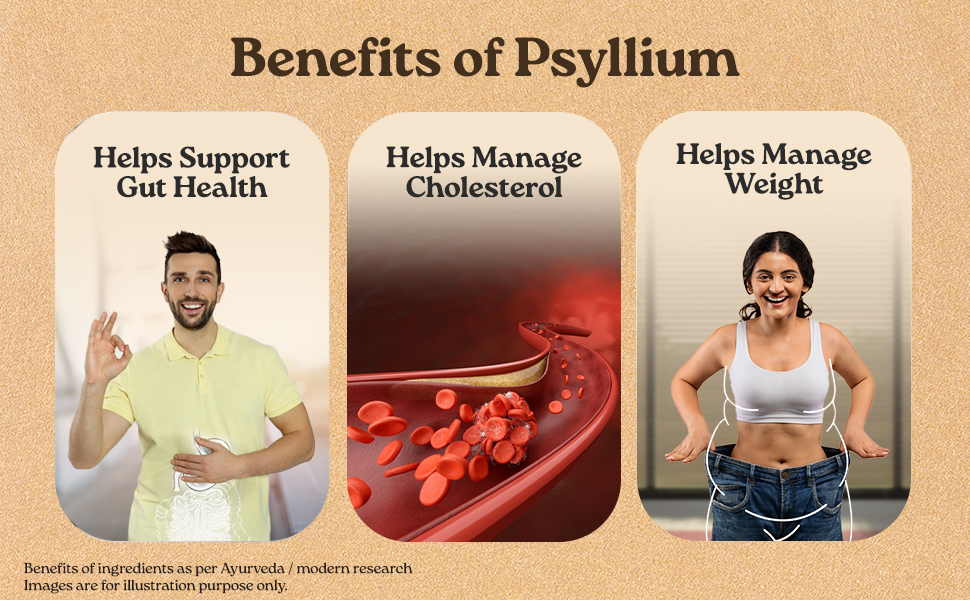 A TATA Product - Organic India Sat Isabgol Psyllium Whole Husk Powder - 100g, With Dietary Fiber, Supports Heart Health & Digestive System, Gluten Free, Non-GMO Project Verified, NPOP & USDA Certified