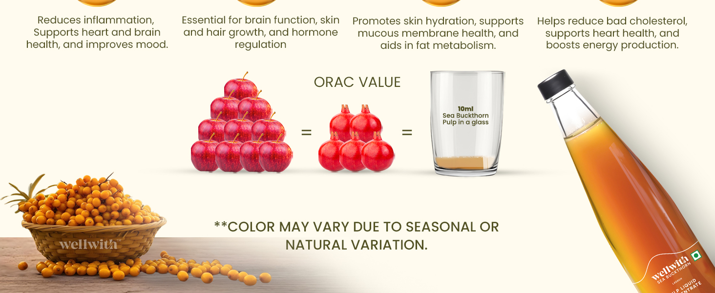 Wellwith by Ayuzera Himalayan Seabuckthorn Pulp Juice 300ml | Cold Pressed Daily Wellness Drink | Natural Vitamin C, Omegas & Antioxidants | For Immunity, Skin Radiance & Gut Wellness