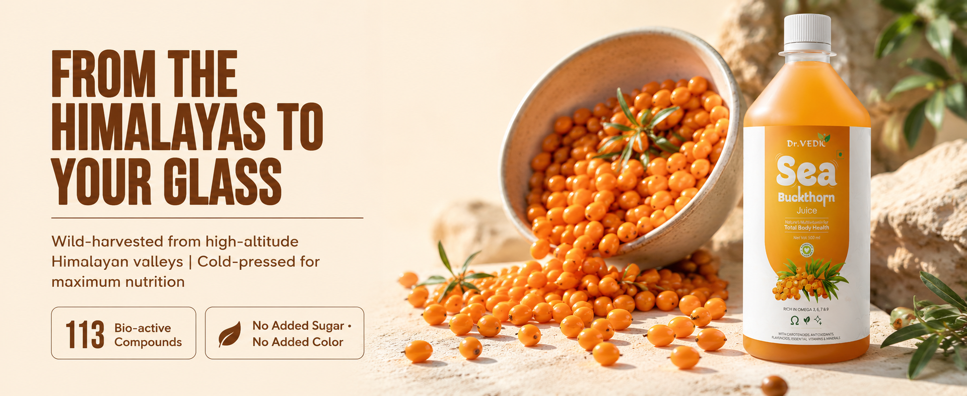 Dr Vedic Himalayan Sea Buckthorn Juice 500ml | Cold-Pressed Pulp Concentrate | Rich in Natural Vitamin C, Omega 3-6-7-9 & Antioxidants | Supports Immunity, Skin Radiance & Gut Health | Herbal Superfruit Supplement (Pack Of 2)