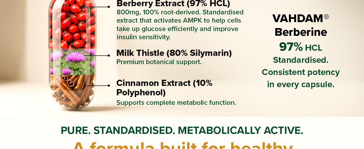 VAHDAM Berberine Capsules | Metabolism, Insulin, Blood Sugar Support | 60 N