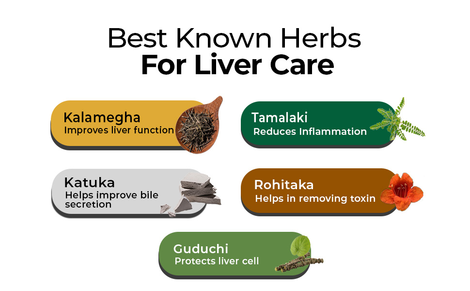 Zandu Livital Liver Detox Tablets – Clinically Proven for Liver Detox & Health Support in 2 Months | 90 Tabs X 2 | 100% Ayurvedic Formula with Bhringaraj & Guduchi | Ayurvedic Alternative to Milk Thistle