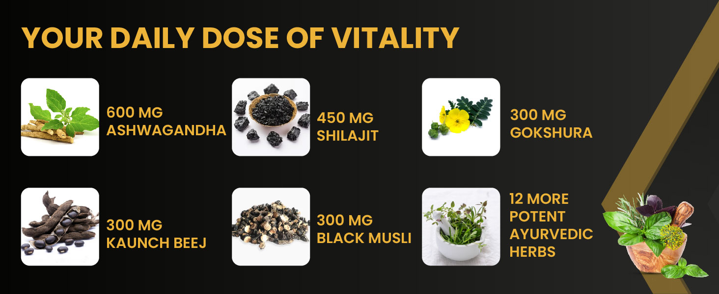Vlado's Himalayan Organics Testosterone Booster Supplement for Men - 2800mg+ | With Ashwagandha, Shilajit, Kaunch Beej, Musli, Gokshura, Ginseng, Gold Bhasma & 17+ Ayurvedic Herbs | Boost Strength, Stamina, Energy & Muscle Growth | Pre & Post Workout Supplement - 90 Veg Tablets