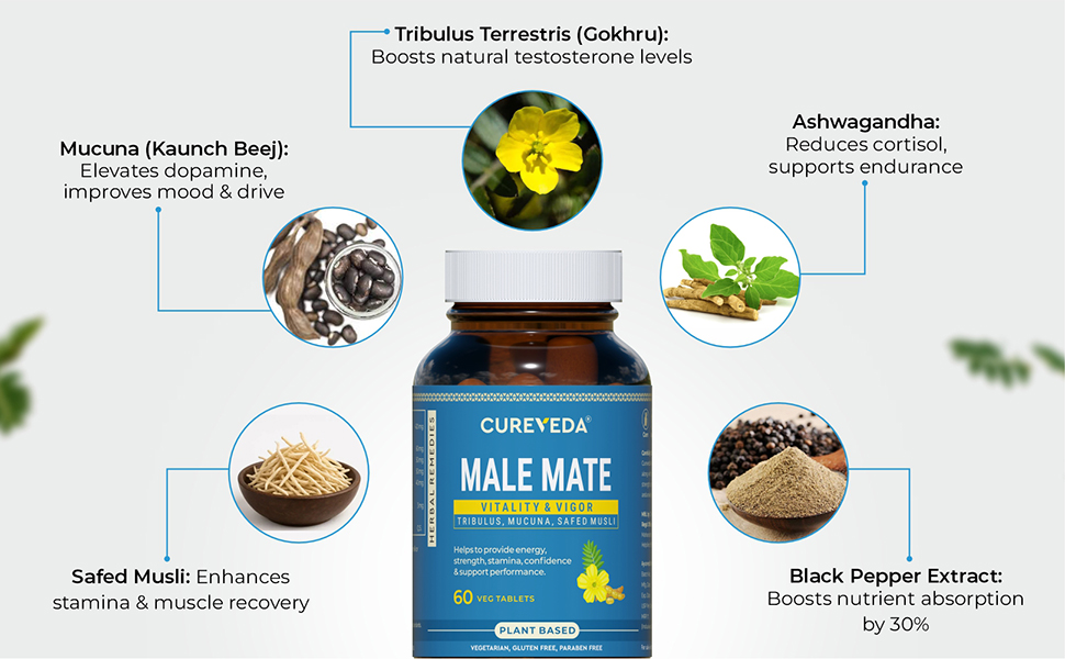Cureveda Herbal Male Mate | Testosterone Support Supplement For Men | Tribulus, Mucuna, Safed Musli | 60 tab