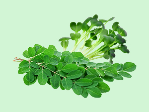 B12GreenFood Powder Plant Based Vitamin B12 Supplement 100g