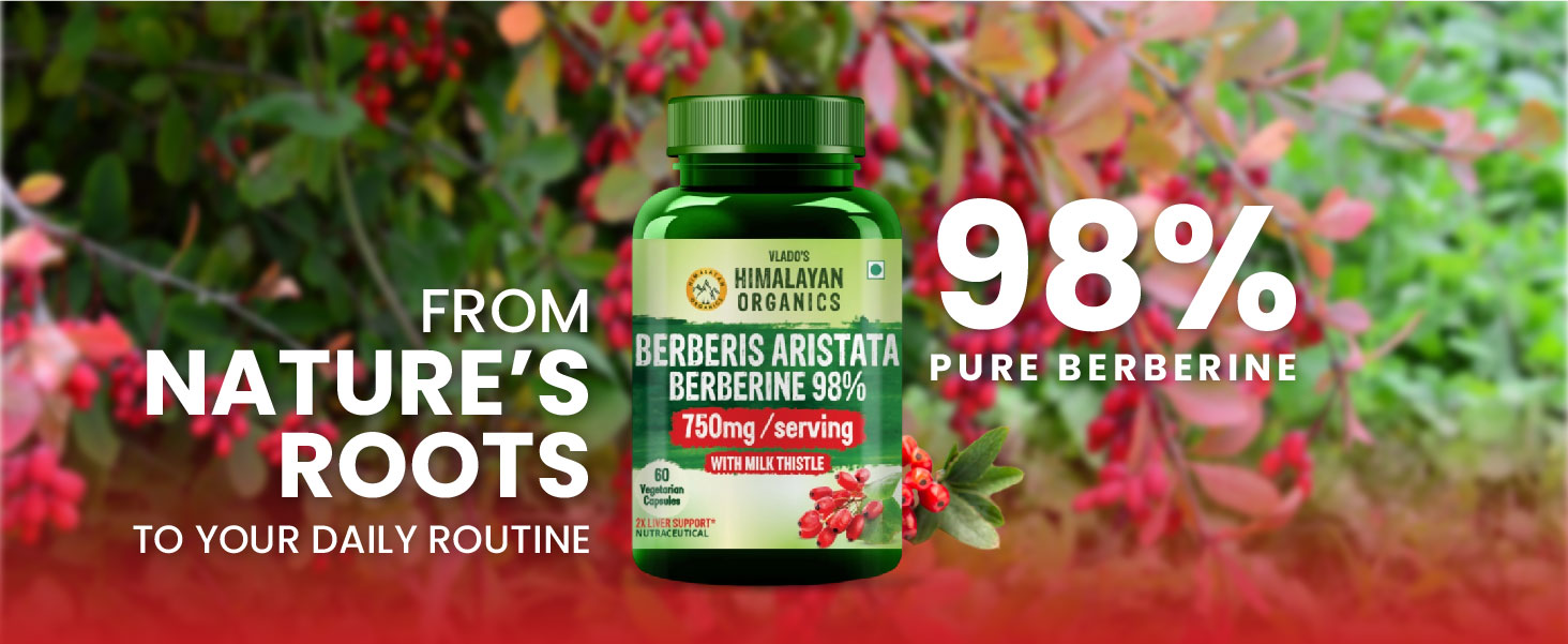 Vlado's Himalayan Organics Berberis Berberine 98% with Milk Thistle I Berberine HCL+ Capsules 750 mg | Berberine Supplements for 2X Liver Support I Control Blood Sugar I Berberis Aristata I Cholesterol Management I, Antioxidant, Anti-inflammatory & Weight Management | Herbal Formula for Detox & Metabolic Wellness - 60 Veg Capsules