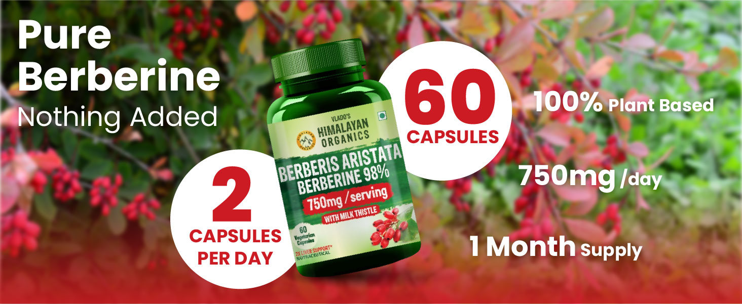 Vlado's Himalayan Organics Berberis Berberine 98% with Milk Thistle I Berberine HCL+ Capsules 750 mg | Berberine Supplements for 2X Liver Support I Control Blood Sugar I Berberis Aristata I Cholesterol Management I, Antioxidant, Anti-inflammatory & Weight Management | Herbal Formula for Detox & Metabolic Wellness - 60 Veg Capsules