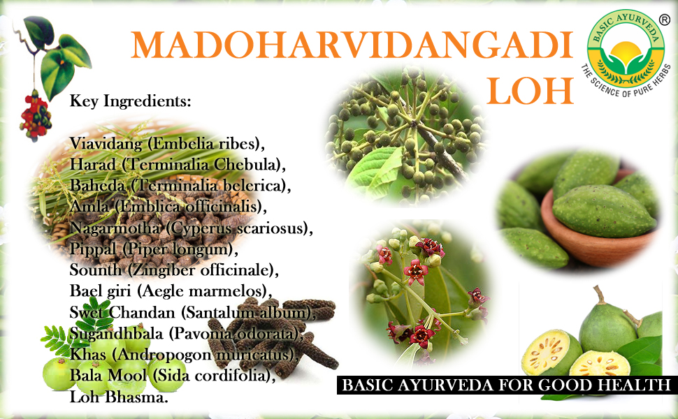 Basic Ayurveda Medoharvidangadi Loh Tablets - Pack of 3 (40 Tablets Each) | Ayurvedic Supplement for Metabolism Support | Traditional Herbal Formula for Men & Women