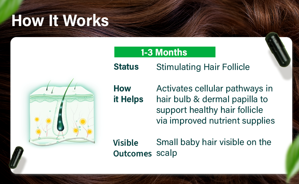 OZiva Hair Vitamins, Hair Growth, Hair Fall Control Supplements,120 capsule