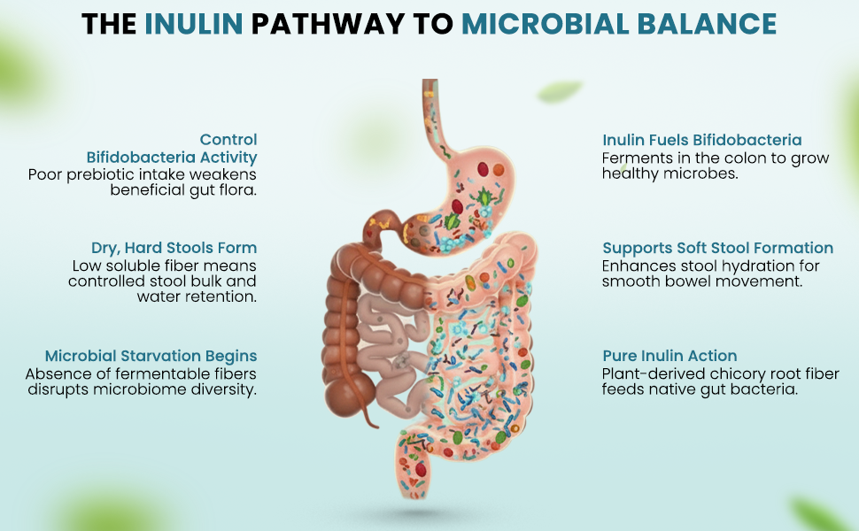 Inulin Prebiotic Dietary Fiber Powder, 250g
