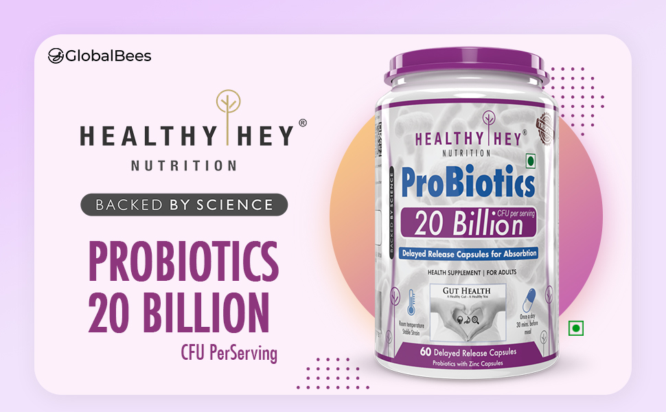 HealthyHey Nutrition Probiotic 20 Billion Cfu Supplement with Delayed - Release Capsules for Temperature Stable, Digestion, and Immune Health - (60 Capsules)