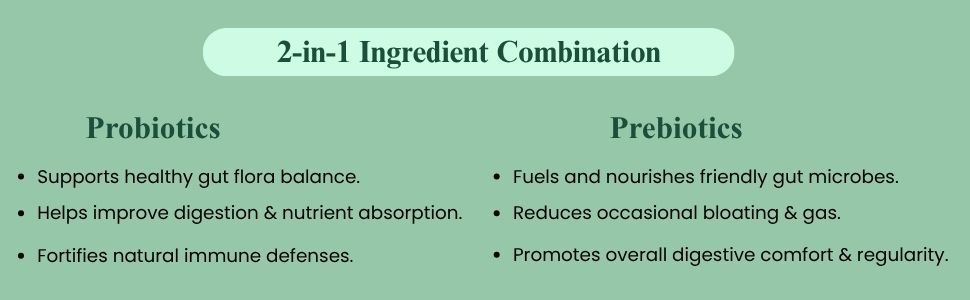Probiotics & Prebiotics Capsules | 10 Billion CFU Multi-Strain Probiotic Supplement | Gut Health, Digestive Support & Gut Flora | Gluten Free | 120 Capsules