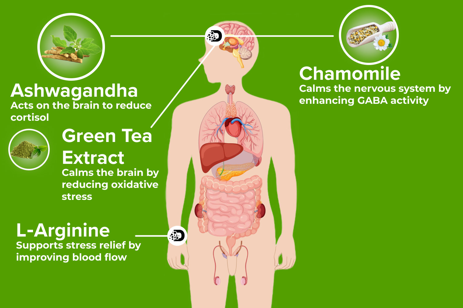 Stress Free, Ashwagandha Root, Chamomile for sleep, Green Tea, LArginine for Anxiety, Depression Relief, Stress Buster for Men and Women, adults stress relief, stress relief medicine
