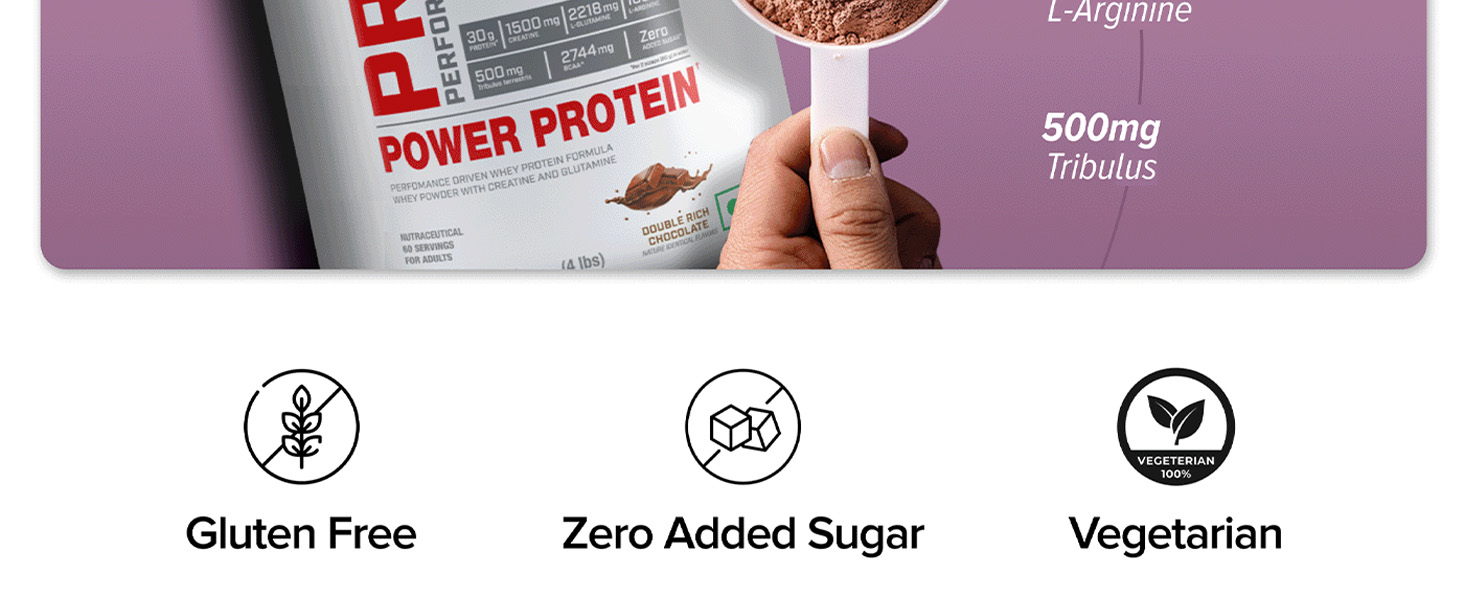 GNC Pro Performance Power Protein | 2 lbs/907 Grams | 6 In One Stack | 1500 Mg Creatine| Zero Added Sugar| 2744 MG BCAA | Informed Choice Certified | 30g Protein | 2.2g L-Glutamine | Energy Features Enzymes For Better Digestion | Double Rich Chocolate| Formulated In USA