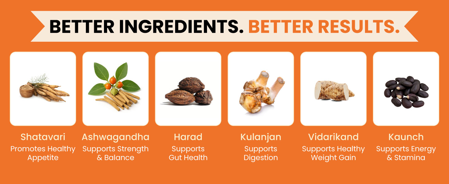 ZeroHarm GainWell Capsules | Ayurvedic Weight Gainer Supplement | Kaunch Beej, Kulanjan, Shatavari, Ashwagandha & Vidarikand | Improves Digestion, Appetite & Nutrient Absorption | 60 Capsules