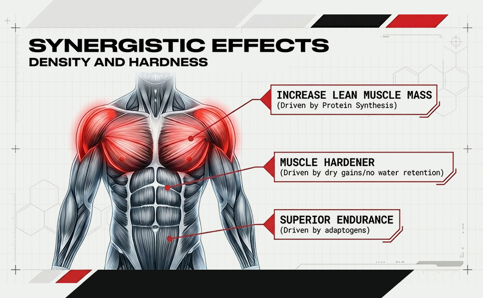 Androbol - Muscle Building Supplement for Men | Builds Lean Muscle | Boosts Testosterone | Stimulates Protein Synthesis | Boosts Endurance | Contains Laxogenin Acetate for Enhanced Strength and Power | Non GMO | FSSAI Approved | 30 Potent Caplets