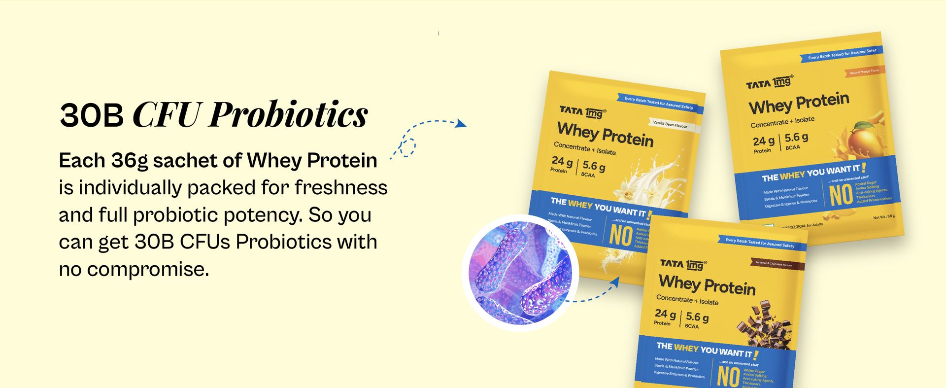 Tata 1mg Whey Protein | Hazelnut & Chocolate | 24g protein | 36g